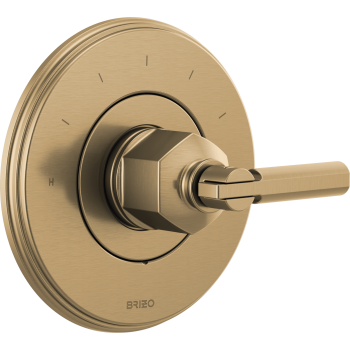 Brizo T66T076 image-11