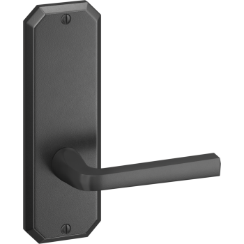 Ashley Norton door levers image-2