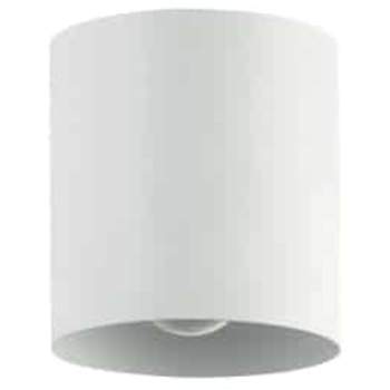 Dainolite TRN-41FH image-3