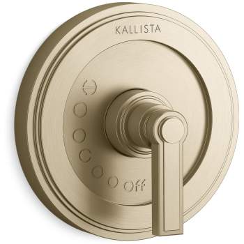 Kallista shower controls image-4