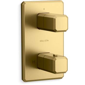 Kallista shower controls image-6