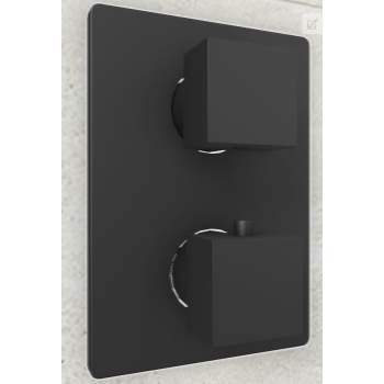 Baril shower controls image-6