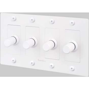 Buster + Punch 4G Linear Dimmer Switch image-5