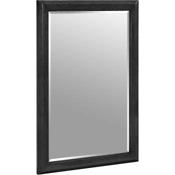 Fairmont mirror 2025
