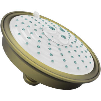 Newport Brass shower heads image-4