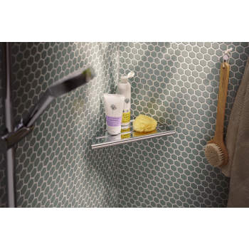Hansgrohe 41761 image-1