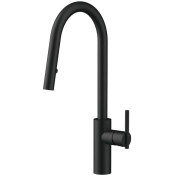Danze D454058 Parma Single Handle, Pull Down Kitchen Faucet  