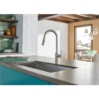 Danze D454058 Parma Single Handle, Pull Down Kitchen Faucet ...