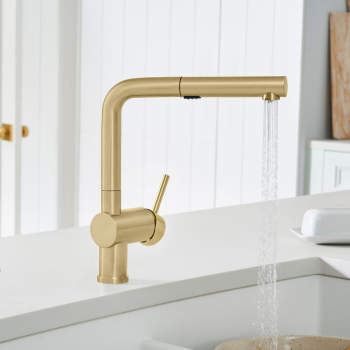Blanco 443251 Linus Pullout Kitchen Faucet With Dual Spray