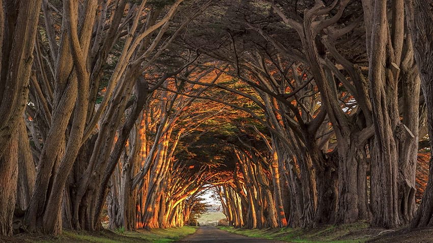 Point Reyes Station