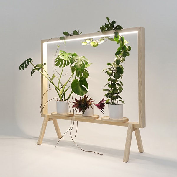 Designboom