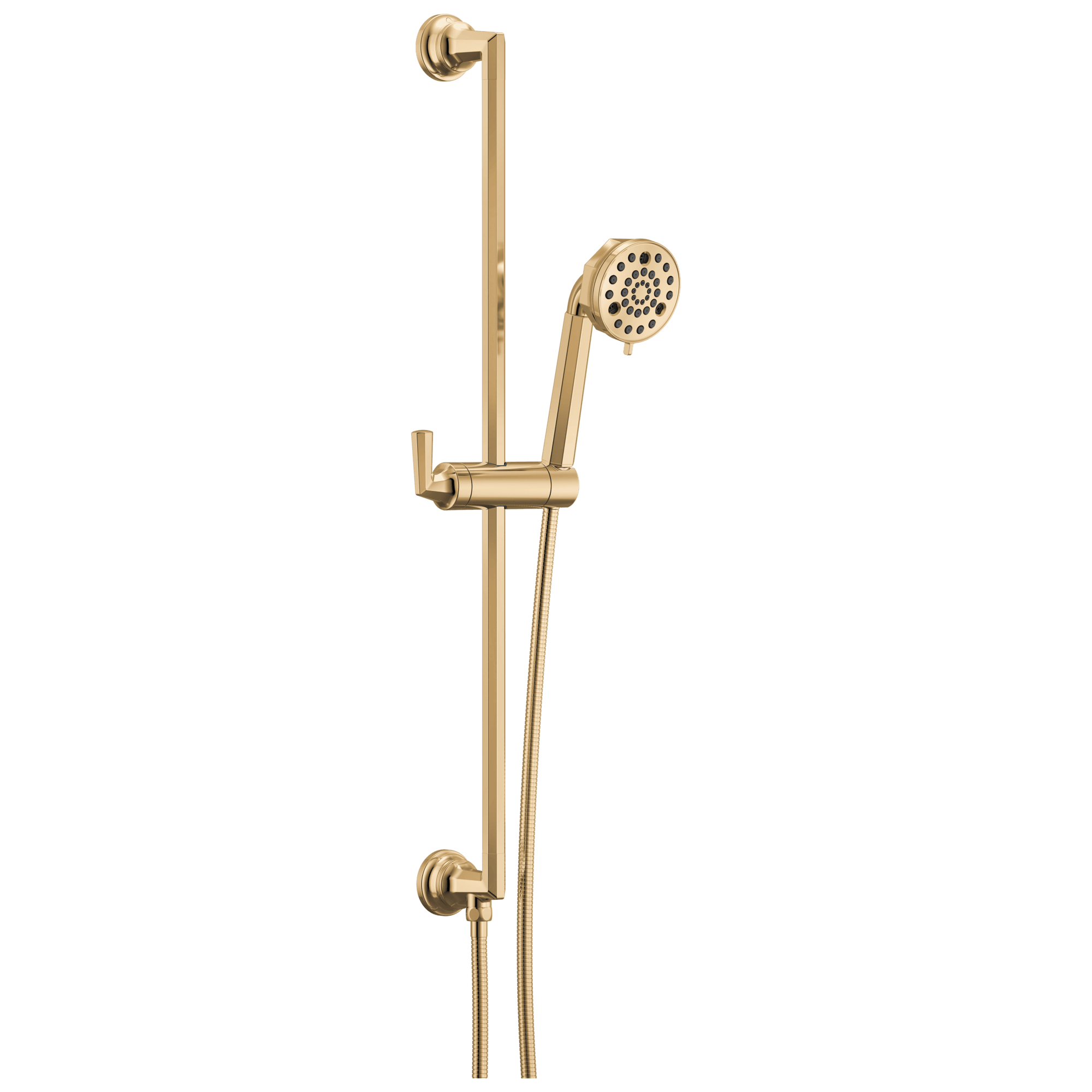 Brizo 88765-PG Beauclere Multi-Function Slide-Bar Hand Shower