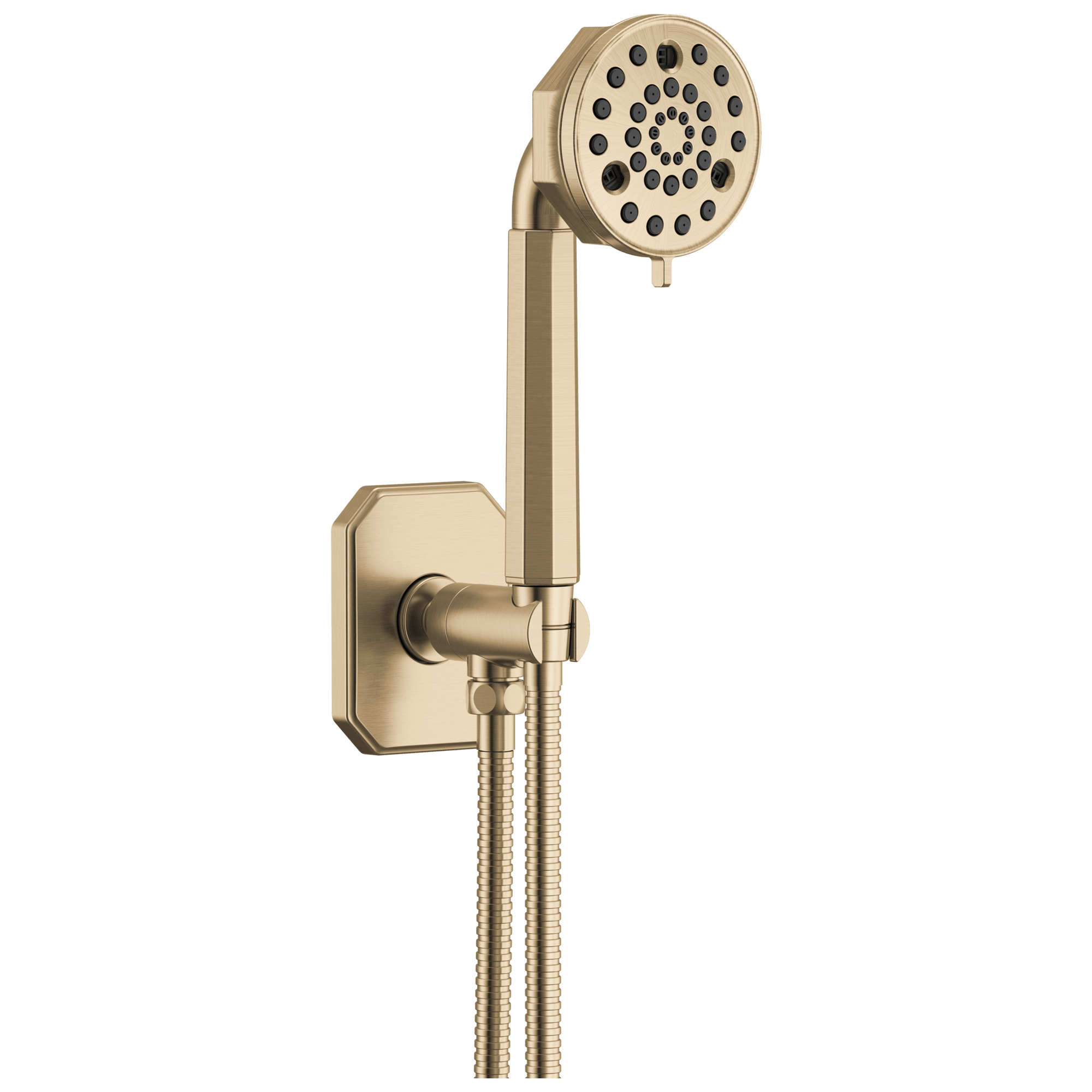 VaLSe – The Line - Brizo 88865-GL Beauclere Multi-Function Wall Mount Hand Shower