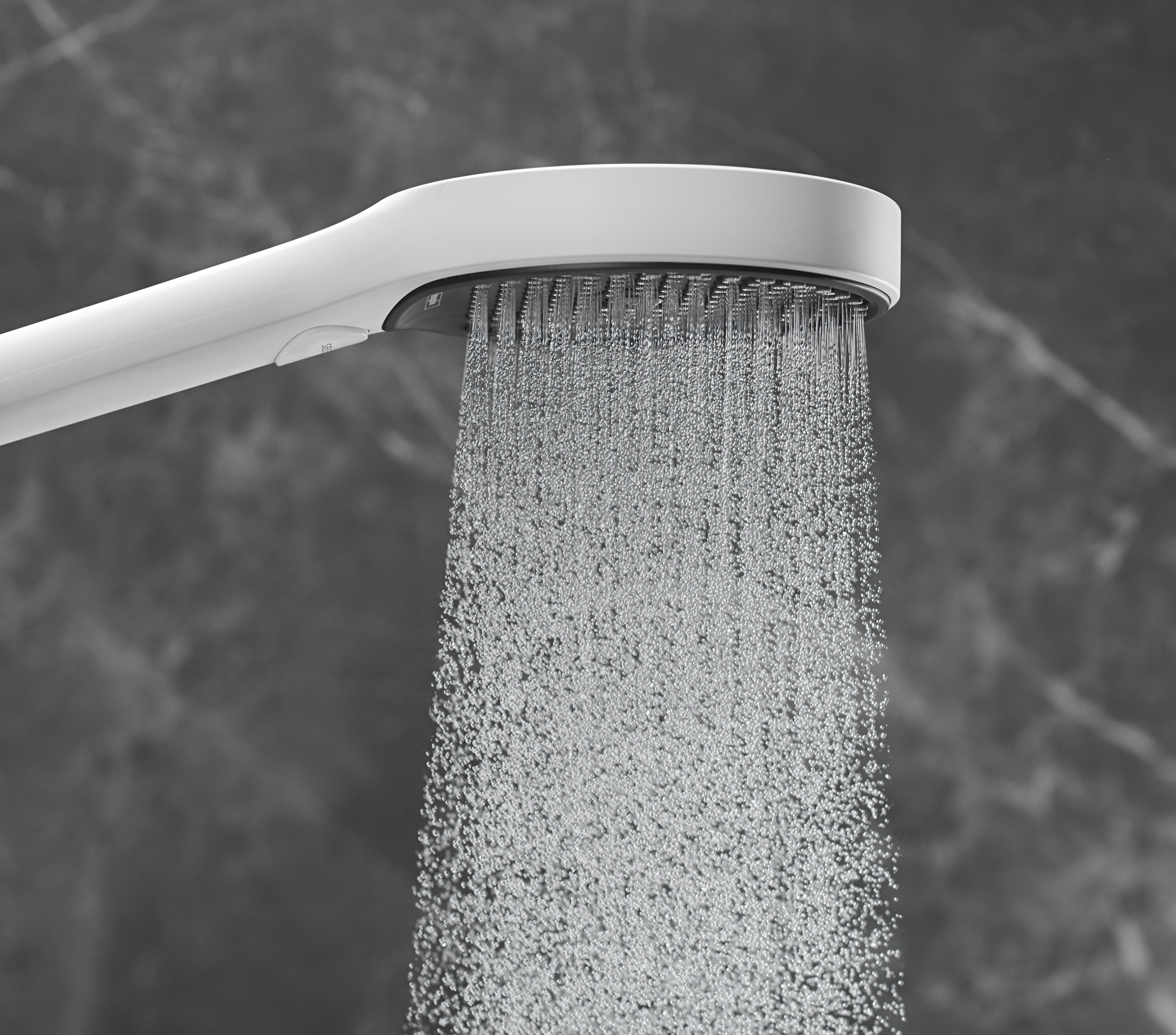 Hansgrohe 26865701 Rainfinity Handshower, 1.75 Gpm