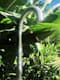 Jee-O 100-650 number 5