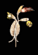 ELK Lighting 1694/3 number 1
