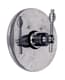Watermark 313-T10 number 1