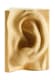 Arteriors 5262 number 1