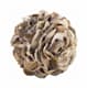 Arteriors 5417 number 1