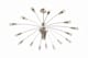 Arteriors 89667 number 1