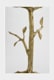 Arteriors 3902 number 2