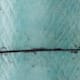 Cole & Co. 11.22.275544.38 number 4