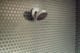 Hansgrohe 28099 number 5