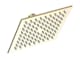 Phylrich 3-331 number 7