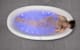 Aquatica Sens-Mini-F-Wht-Rlx number 3