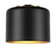 Dainolite EMI-81FH number 1