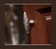 Top Knobs M930 number 3
