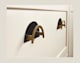 Top Knobs TK54 number 2