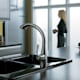 Hansgrohe 06461 number 1