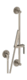 Watermark 38-HSPB1 number 1