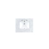 Carrara White Marble