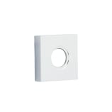 Small Square