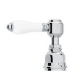 Porcelain Levers