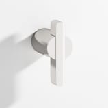 Polished Nickel