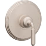 Metal Lever Handle