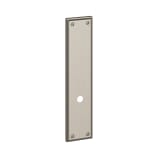 SE Plate 11" x 2-1/2"